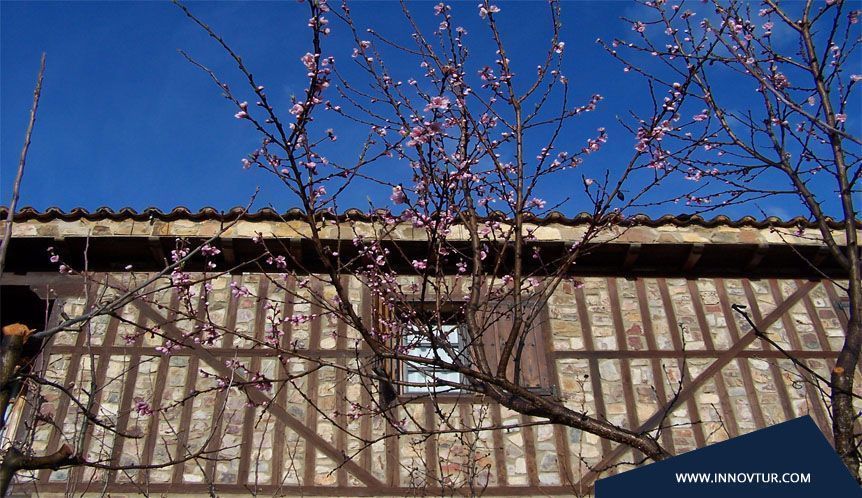 El turismo rural necesita mejorar su formación online