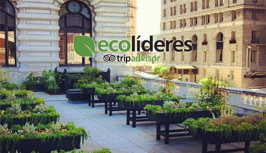 Ecolíderes Tripadvisor